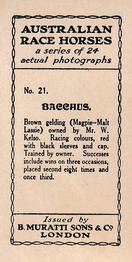 1931 Muratti Australian Race Horses #21 Bacchus Back